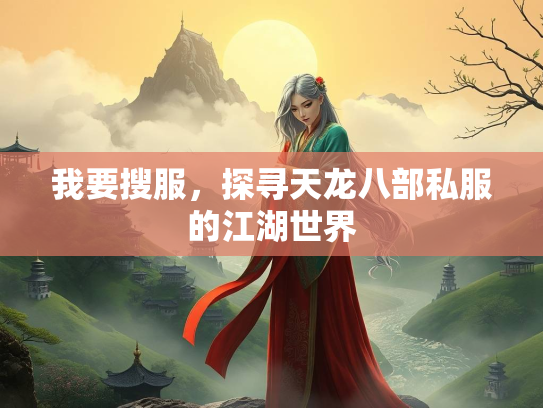 我要搜服，探寻天龙八部私服的江湖世界  第3张