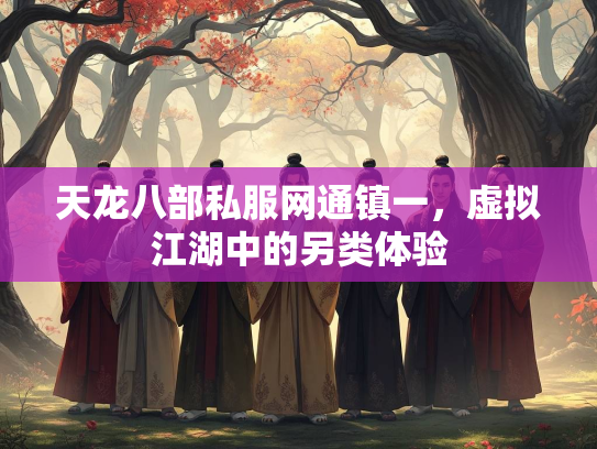 天龙八部私服网通镇一，虚拟江湖中的另类体验  第2张