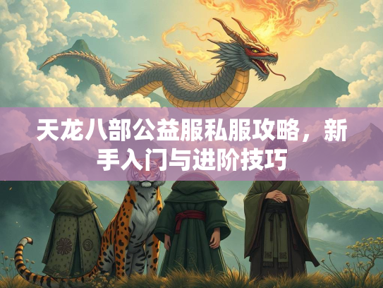 天龙八部公益服私服攻略，新手入门与进阶技巧  第2张