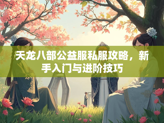 天龙八部公益服私服攻略，新手入门与进阶技巧  第3张