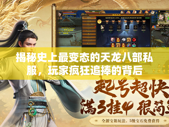 揭秘史上最变态的天龙八部私服，玩家疯狂追捧的背后  第1张