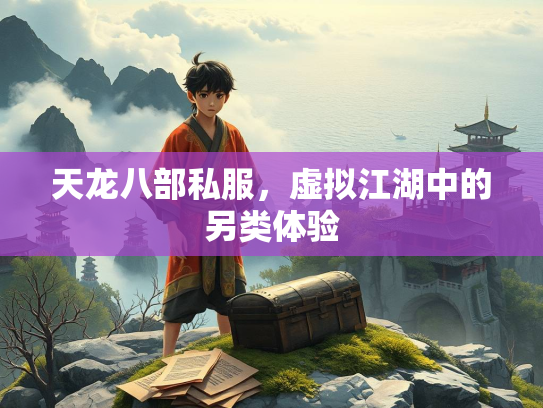 天龙八部私服，虚拟江湖中的另类体验  第3张