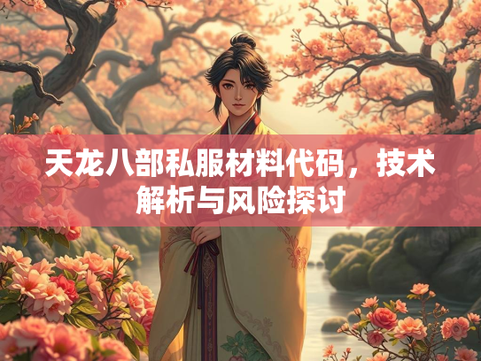 天龙八部私服材料代码，技术解析与风险探讨  第1张