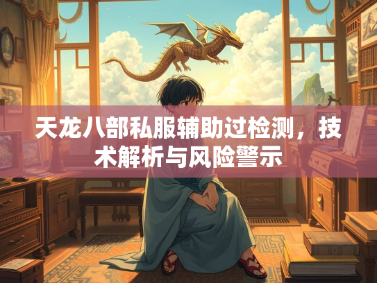 天龙八部私服辅助过检测，技术解析与风险警示  第2张