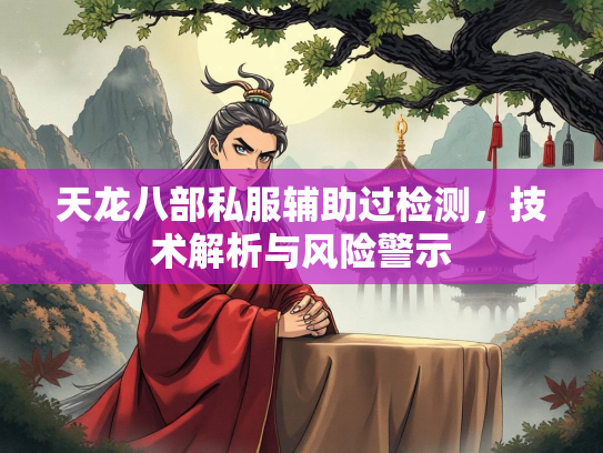 天龙八部私服辅助过检测，技术解析与风险警示  第3张