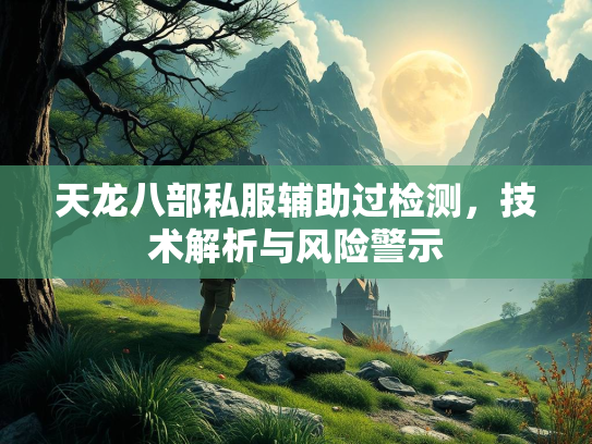 天龙八部私服辅助过检测，技术解析与风险警示  第1张