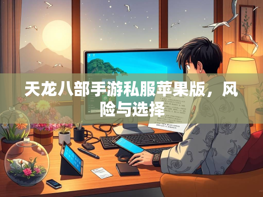天龙八部手游私服苹果版，风险与选择  第2张