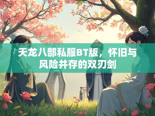 天龙八部私服BT版，怀旧与风险并存的双刃剑  第2张