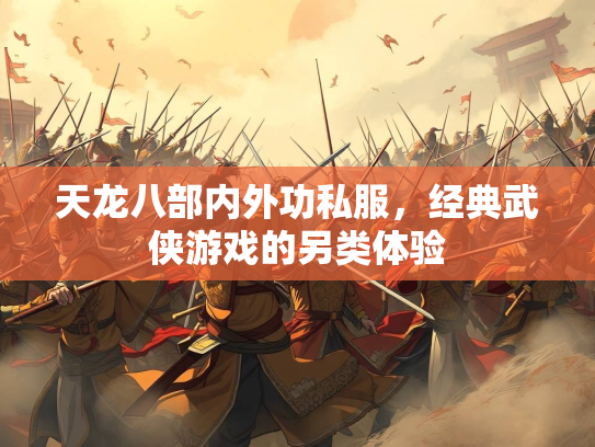 天龙八部内外功私服，经典武侠游戏的另类体验  第2张