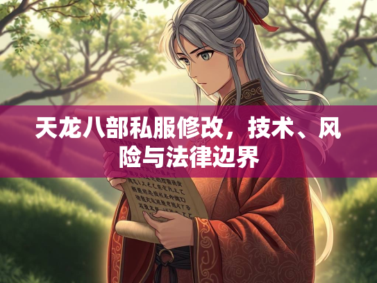 天龙八部私服修改，技术、风险与法律边界  第2张