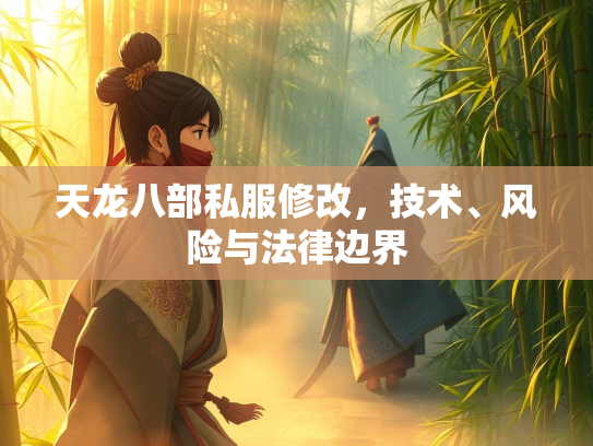 天龙八部私服修改，技术、风险与法律边界  第3张
