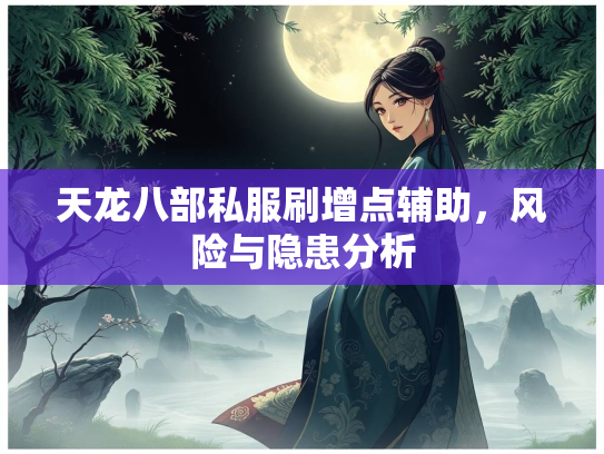 天龙八部私服刷增点辅助，风险与隐患分析  第3张