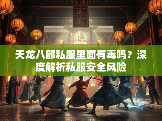 天龙八部私服里面有毒吗？深度解析私服安全风险  第3张