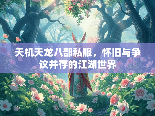 天机天龙八部私服，怀旧与争议并存的江湖世界  第2张
