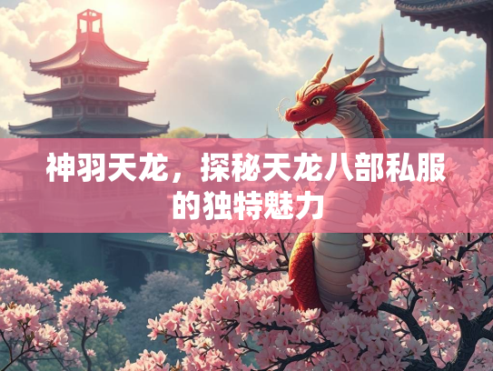 神羽天龙，探秘天龙八部私服的独特魅力  第2张