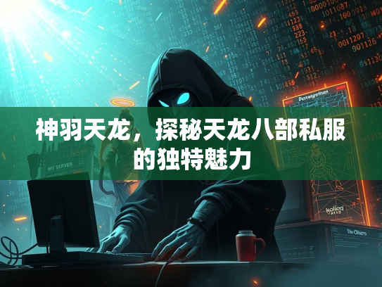 神羽天龙，探秘天龙八部私服的独特魅力  第3张