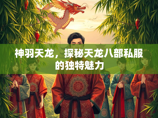 神羽天龙，探秘天龙八部私服的独特魅力  第1张