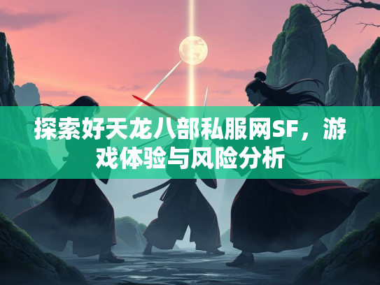 探索好天龙八部私服网SF，游戏体验与风险分析  第3张
