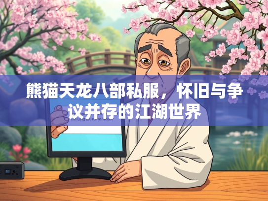 熊猫天龙八部私服，怀旧与争议并存的江湖世界  第1张