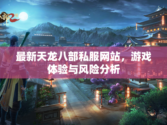 最新天龙八部私服网站，游戏体验与风险分析  第2张