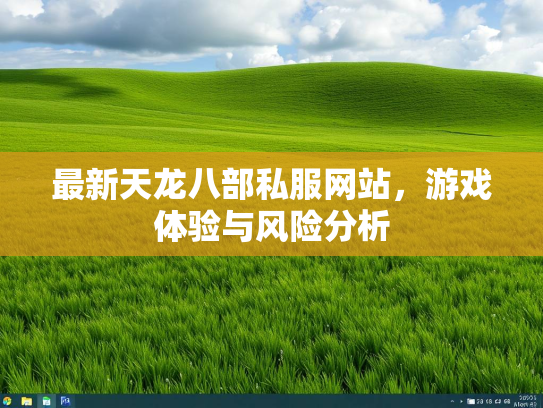 最新天龙八部私服网站，游戏体验与风险分析  第3张