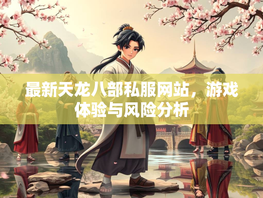 最新天龙八部私服网站，游戏体验与风险分析  第1张