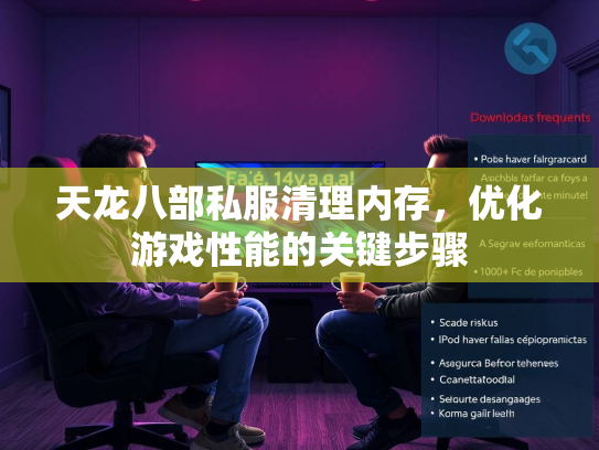 天龙八部私服清理内存，优化游戏性能的关键步骤  第2张
