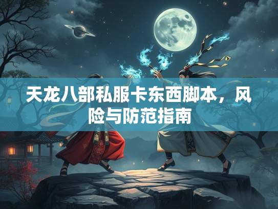 天龙八部私服卡东西脚本，风险与防范指南  第1张