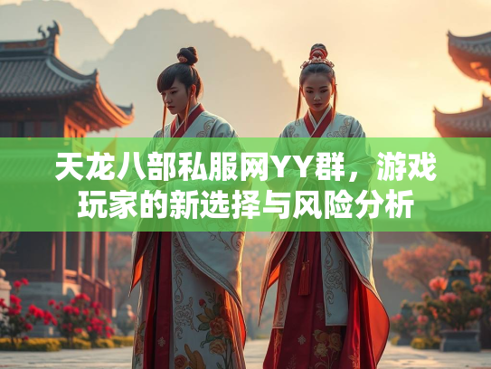 天龙八部私服网YY群，游戏玩家的新选择与风险分析  第1张