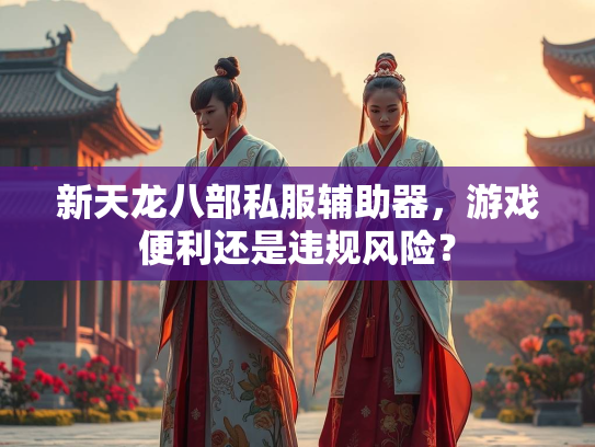 新天龙八部私服辅助器，游戏便利还是违规风险？  第3张