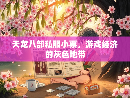 天龙八部私服小票，游戏经济的灰色地带  第1张
