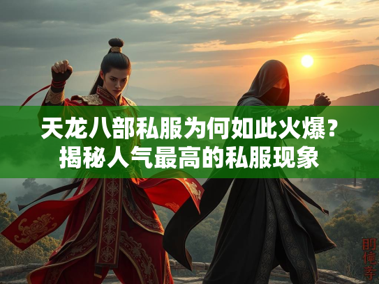 天龙八部私服为何如此火爆？揭秘人气最高的私服现象  第1张