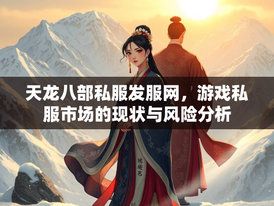 天龙八部私服发服网，游戏私服市场的现状与风险分析  第2张