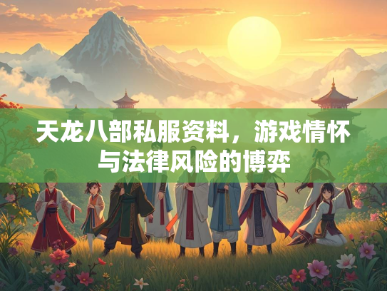 天龙八部私服资料，游戏情怀与法律风险的博弈  第3张