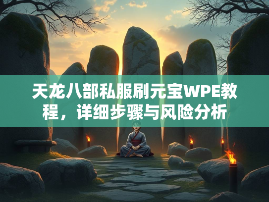 天龙八部私服刷元宝WPE教程，详细步骤与风险分析