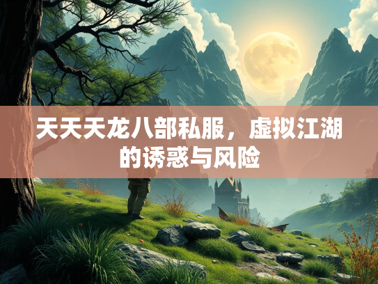 天天天龙八部私服，虚拟江湖的诱惑与风险  第3张