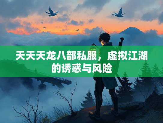 天天天龙八部私服，虚拟江湖的诱惑与风险  第4张