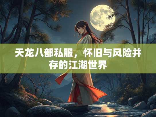 天龙八部私服，怀旧与风险并存的江湖世界  第3张