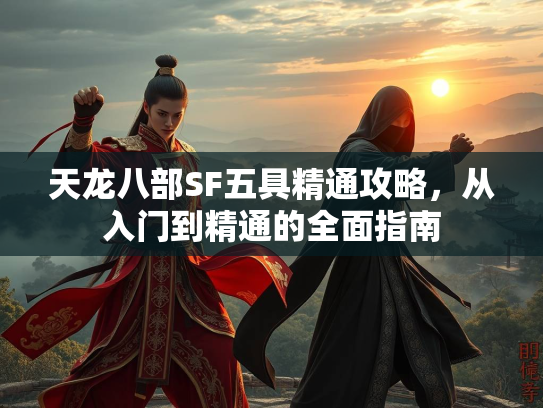 天龙八部SF五具精通攻略，从入门到精通的全面指南  第4张