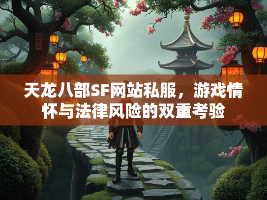天龙八部SF网站私服，游戏情怀与法律风险的双重考验  第3张