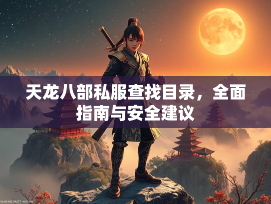 天龙八部私服查找目录，全面指南与安全建议  第3张