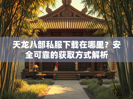 天龙八部私服下载在哪里？安全可靠的获取方式解析  第4张