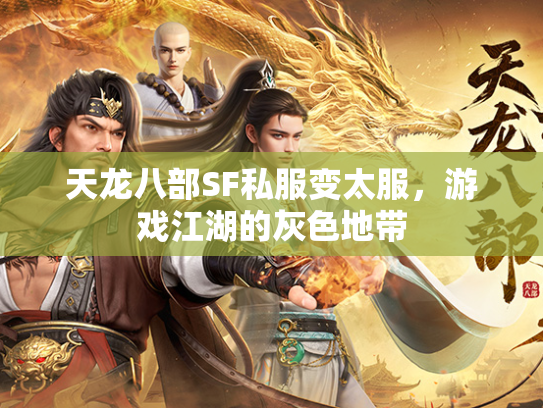 天龙八部SF私服变太服，游戏江湖的灰色地带  第2张