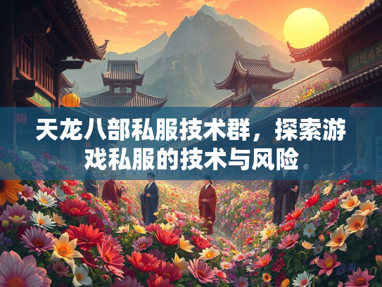 天龙八部私服技术群，探索游戏私服的技术与风险  第2张