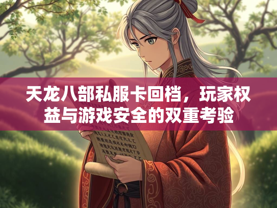 天龙八部私服卡回档，玩家权益与游戏安全的双重考验  第3张