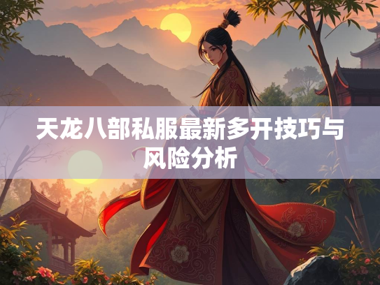 天龙八部私服最新多开技巧与风险分析  第5张
