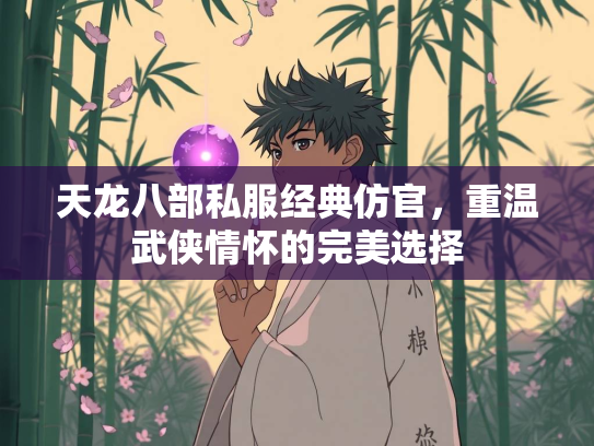 天龙八部私服经典仿官，重温武侠情怀的完美选择  第3张