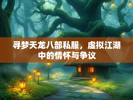寻梦天龙八部私服，虚拟江湖中的情怀与争议  第4张