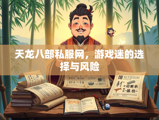 天龙八部私服网，游戏迷的选择与风险  第4张