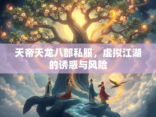 天帝天龙八部私服，虚拟江湖的诱惑与风险  第4张